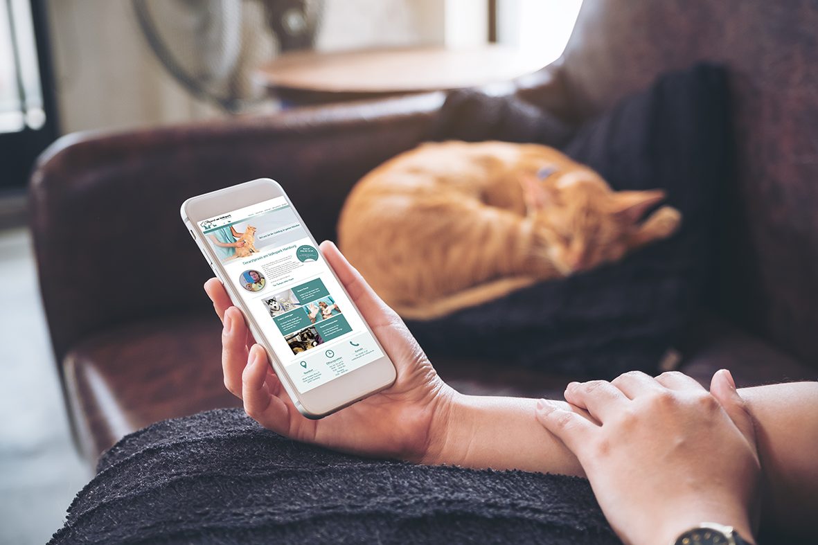 Hand hält ein Smartphone mit der Website der Praxis, im Hintergrund schläft eine rote Katze